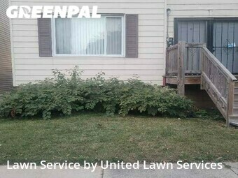 Yard Cutting nearby Chicago, IL, 