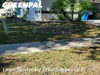 Grass Cutting nearby Valrico, FL, 