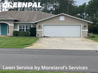 Lawn Mow nearby Palm Coast, FL, 