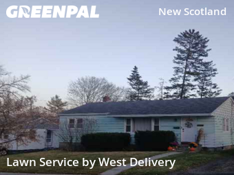 Lawn Upkeep in Albany, 12208, Weed Trimming by West Delivery, work completed in Dec , 2025