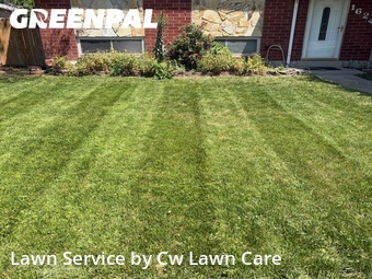 Grass Cut nearby Taylorsville, UT, 