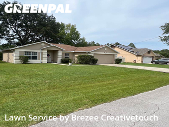 Yard Mowing nearby Palm Coast, FL, 