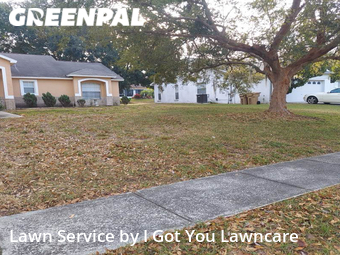 Lawn Cutting nearby Clermont, FL, 