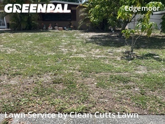 Lawn Mowing Service nearby St. Petersburg, FL, 