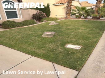 Yard Grooming in Chandler, 85286, Grass Services by Lawnpal, work completed in Nov , 2025
