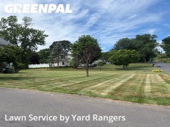 Lawn mowed in Cheshire, 6410