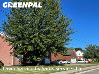 Yard Mowing nearby Smyrna, TN, 