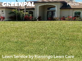 Lawn mowed in Cape Coral, 33914