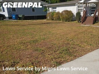 Lawn Maintenance nearby Atlanta, GA, 