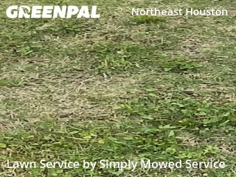 Lawn Maintenance in Galena Park, 77547, Yard Upkeep by Simply Mowed Service, work completed in Nov , 2025