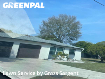 Grass Cut nearby St. Petersburg, FL, 