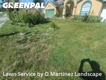 Lawn Cutin Clermont,34711,Yard Mowing by O.Martinez Landscape, work completed in Jun , 2026