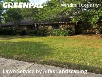 Lawn Cut nearby Plano, TX, 
