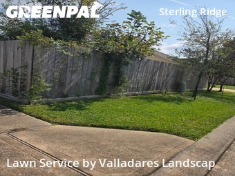 Yard Cuttingin The Woodlands,77382,Lawn Mowing by Valladares Landscap, work completed in Nov , 2025