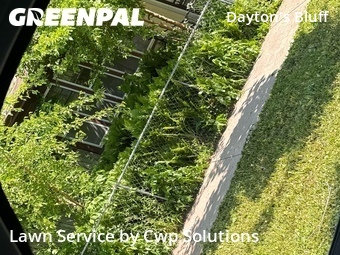 Lawn Care nearby Saint Paul, MN, 