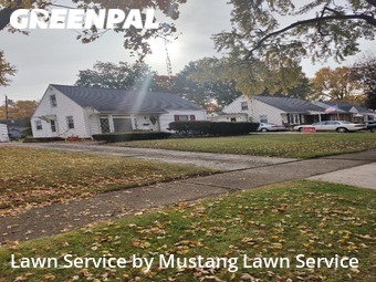 Grass Cut nearby Warren, OH, 