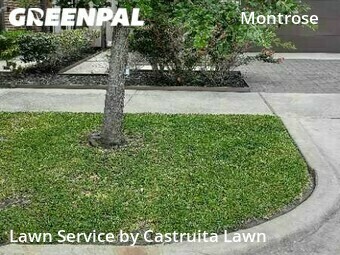 Lawn Maintenance nearby Houston, TX, 