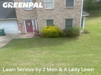 Yard Mowing nearby Ellenwood, GA, 