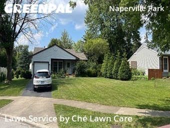 Lawn Care nearby Naperville, IL, 