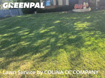 Lawn Care nearby Fort Worth, TX, 