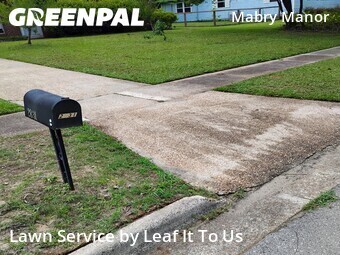 Lawn Cut nearby Tallahassee, FL, 