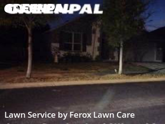 Yard Upkeep in Georgetown, 78628, Lawn Maintenance by Ferox Lawn Care, work completed in Nov , 2025