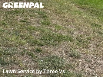 Yard Mowing nearby Riverview, FL, 