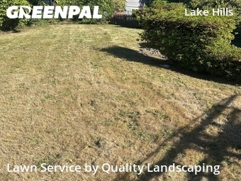 Lawn Maintenancein Bellevue,98007,Lawn Care by Quality Landscaping, work completed in Jun , 2026