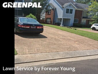 Grass Cut nearby Memphis, TN, 
