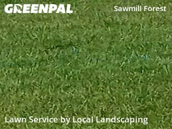 Grass Cut nearby Dublin, OH, 