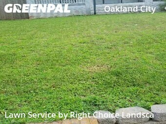 Lawn Care nearby Atlanta, GA, 