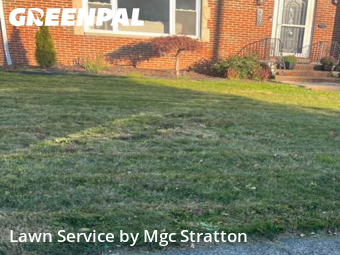 Yard Management in Euclid, 44132, Garden Trimming by Mgc Stratton, work completed in Nov , 2025