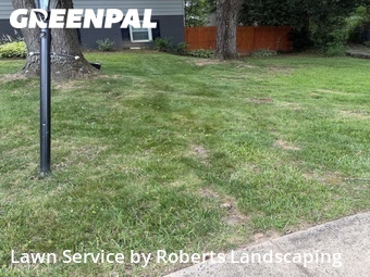 Lawn Mowing Service nearby Fairfax, VA, 