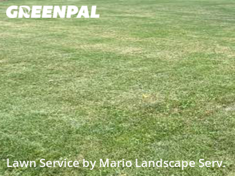 Yard Mowing nearby Lake Bluff, IL, 