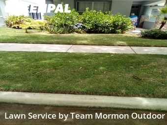 Grass Cut nearby Windermere, FL, 