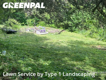 Lawn Mowing nearby Candler, NC, 