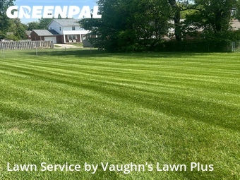 Lawn Service nearby Evansville, IN, 