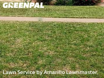 Lawn Cut nearby Amarillo, TX, 