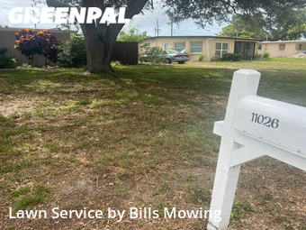Grass Cut nearby Largo, FL, 