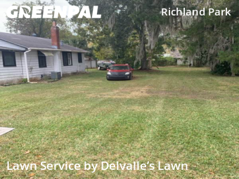 Yard Upkeep in Daytona Beach, 32117, Yard Care Services by Delvalle’s Lawn, work completed in Dec , 2025