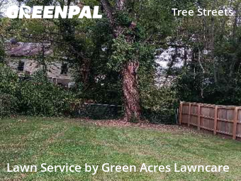 Weed Trimming in Johnson City, 37604, Yard Upkeep by Green Acres Lawncare , work completed in Dec , 2025