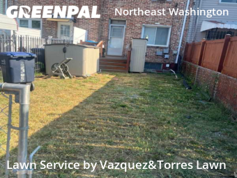 Grass Cutting nearby Washington, MD, 
