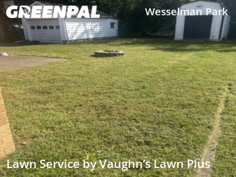 Yard Management in Evansville, 47711, Lawn Services by Vaughn’s Lawn Plus, work completed in Nov , 2025