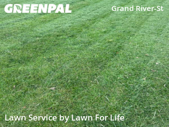 Lawn Mowing Service nearby Detroit, MI, 