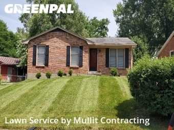 Grass Cutting nearby Lexington, KY, 