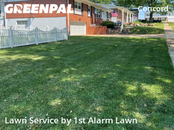 Yard Cutting nearby St. Louis, MO, 