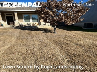 Lawn Mowing Service nearby Schertz, TX, 