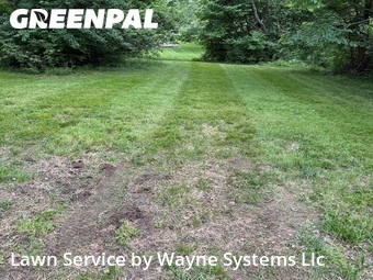 Lawn Maintenance nearby Columbia, MO, 