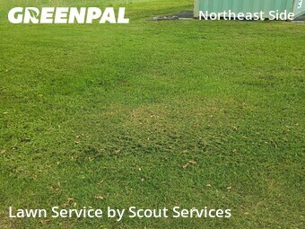 Grass Cutting nearby Converse, TX, 
