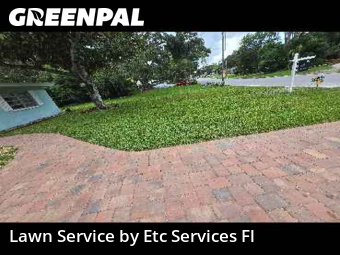 Lawn Mowing Servicein Dunedin,34698,Grass Cutting by Etc Services Fl, work completed in Nov , 2025
